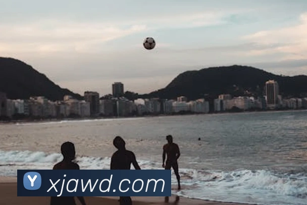 多媒体互动体验